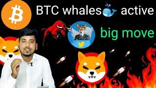 shiba inu coin news today| floki CEO 2 biggest listing| whale game on | btc update today