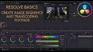 Davinci Resolve - Create An Image Sequence and Transcoding - Create a  Matchmove Reel For FREE Pt.1