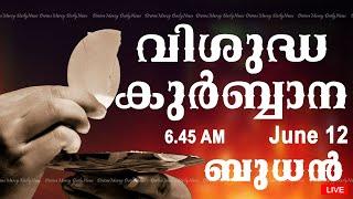 Holy Mass I Malayalam Mass I June 12 I Wednesday I Qurbana I 6.45 AM