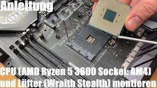 CPU (AMD Ryzen 5 3600 Sockel: AM4) und Lüfter (Wraith Stealth) montieren - PC Montage Anleitung