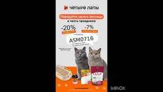 Промокод на скидку в интернет магазин Четыре Лапы, работает до 30.06