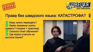 Права без шведского языка: КАТАСТРОФА? 