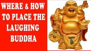 WHERE & HOW TO PLACE LAUGHING BUDDHA|FENGSHUI BUDDHA BENEFITS|घर में कहाँ रखें लाफ़िंग बुद्धा?