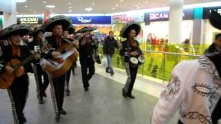 Мексиканская группа Mariachi Mexico