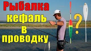 РЫБАЛКА на КЕФАЛЬ (сингиль) В ПРОВОДКУ на бомбарду. Тилигульский лиман Коблево (Одесса) Черное море