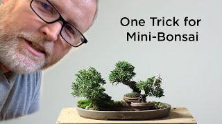 Bonsaify | One Mame Trick to Rule Them All