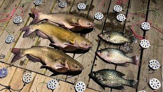 Yo-Yo Fishing SLAB CRAPPIE and CATFISH Deep In SWAMP! {Catch Clean Cook} SPICY Grilled Catfish!!!