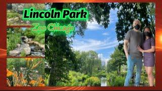 Filipina American in windycity: afternoon walk at Lincoln Park Chicago summer 2021