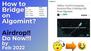 How to Bridge on Algomint for Airdrop by Feb 2022|AlGO Airdrops