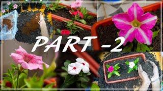 Potting The Plants I Bought From Nursery || Winter Flowering Plants || Kartikey Sablok