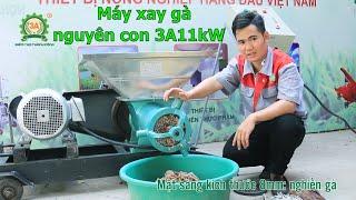 Máy xay gà nguyên con 3A11kW chế tạo tại xưởng 3A đạt năng suất khủng