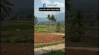 Kavling Nuansa Alam Golden View Tanah Murah Wisata Villa Puncak 2 Bogor #healing #nature #investasi