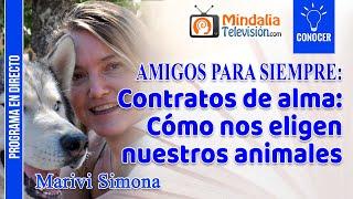 Contratos de alma: Cómo nos eligen nuestros animales, por Marivi Simona