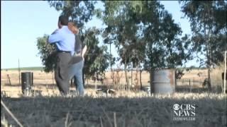 Locusts invade Sacramento farm