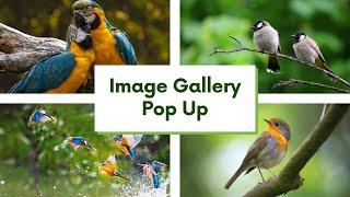 Image Gallery Pop up | HTML CSS Javascript Visual Studio Code | Concepts in HTML CSS and JavaScript