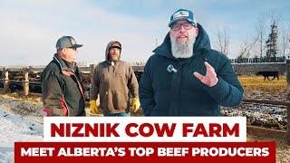 Explore a Field Trip at Niznik Farms in Brooks, Alberta | Chef2K