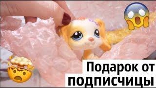 LPS: ПОДАРОК ОТ ПОДПИСЧИЦЫ