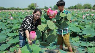 A Table of Lotus Food: Harvest Lotus root and pick fruit for cooking | Pick lotus from Lotus field