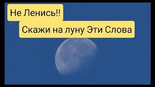 Скажите на Луну пару слов, Все ваши проблемы, Болезни да и горечь жизни уйдет на убыль. Шепоток