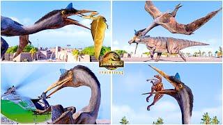 Quetzalcoatlus All Perfect Animations  Jurassic World Evolution 2 Dominion Dinosaur DLC Pack