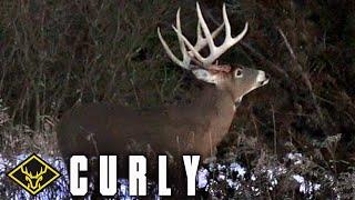 The Hunt for Curly | 185" BUCK arrowed FROM THE GROUND!