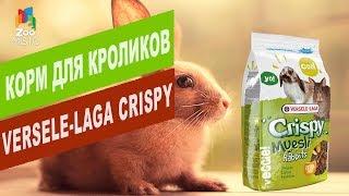 Корм для кроликов Versele-Laga CRISPY MUESLI | Обзор корма для кроликов Versele-Laga CRISPY MUESLI