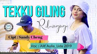 LAGU BUGIS Viral !  TEKKU GILING RILAINGNGE - Alif Aulia_lida 2