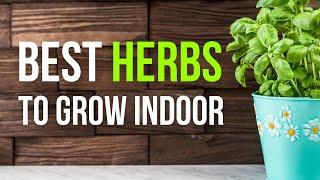 Best Herbs That Grow Indoors All Year: A Green Thumb's Guide