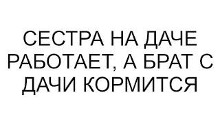 Сестра на даче работает, а брат с дачи кормится