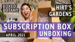 Hirt's Boxed Botany | April 2021 Houseplant Subscription Unboxing