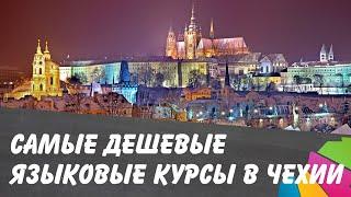 Чехия. Самые дешевые языковые курсы для получения визы. Обучение в ВУТ по специальности информатика