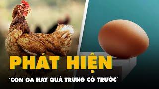 Phát hiện mới về 'quả trứng có trước hay con gà có trước'