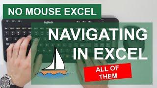 How to Navigate Like a Pro In Excel | No Mouse Excel