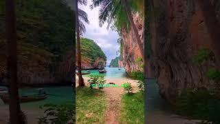 Nature Top Videos Shorts