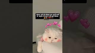 Mere वाले को #trending #cat #hindisong#youtubeshorts#shortsviral #cute #funny#lovestatus #sadsahayri