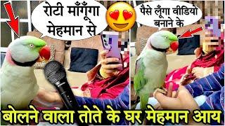 बोलने वाले तोते के घर मेहमान आए  | बोलने वाला तोता #bolnewalaparrot #talkingparrot #mitthu #pets