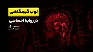 لوب گیجگاهی در روابط احساسی | temporal lobe function