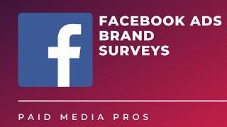 Facebook Brand Lift Study