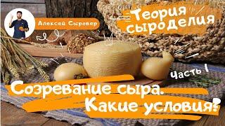 Созревание сыра.  Какие условия?