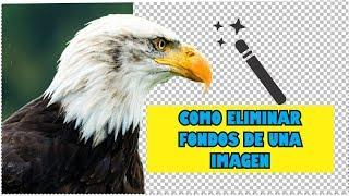 Eliminar fondo de una imagen con Corel Photo Paint X7