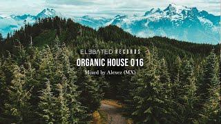ORGANIC HOUSE MIX | Organic & Ethno Deep House Music | by Alexez (MX)