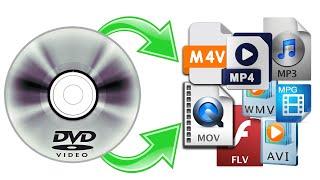 How to Convert DVD to Digital (2024)