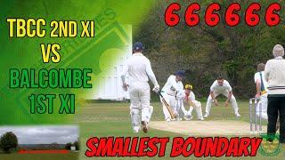 SMALLEST BOUNDARY *35 Yards?!* TBCC 2nd XI vs Balcombe | Cricket Match Highlights
