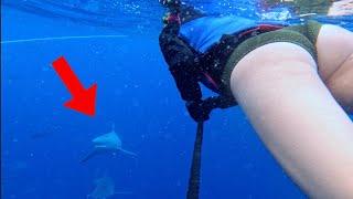 Taking My Girlfriend SHARK DIVING For The First Time! Massive Bull Sharks!