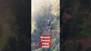 Pecel Lele(pendaki cepat lelah) pagar alam #shorts #fyp #tiktok #viral #adventure #pendaki