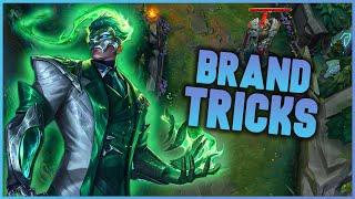 Brand Tips and Tricks | Beginner Guide