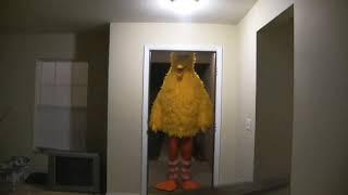 Big Bird Kicks Down Door (Original)