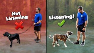 How to Get Your Dog to Listen to You