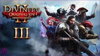 Witch & Paladin Feenex Mod Run | Divinity Original Sin 2 | P3