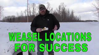 trapping weasels LOCATIONS BASICS